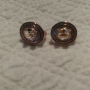 Rose Gold Crystallized Pierced Clasp Earrings